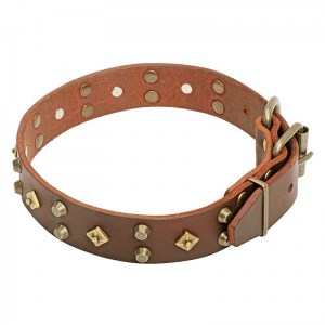 Ошейник для собаки «Fashion Jewelry» - C17