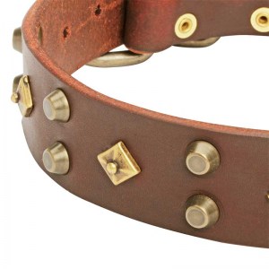 Ошейник для собаки «Fashion Jewelry» - C17