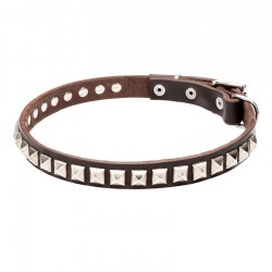Узкий кожаный ошейник щенку «King Studs» - C65