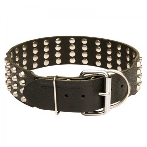 Кожаный широкий ошейник на собаку «Studded Gift» - S89