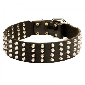 Кожаный широкий ошейник на собаку «Studded Gift» - S89
