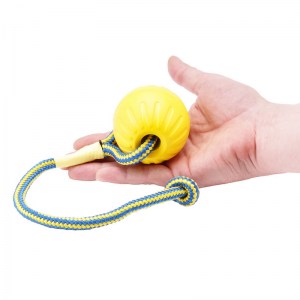 Мяч «Dog Toy» large для собак - TT20