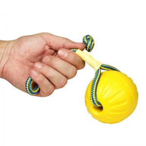 Мяч «Dog Toy» large для собак - TT20