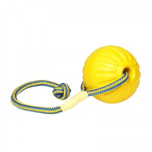 Мяч «Dog Toy» large для собак - TT20