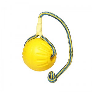 Мяч «Dog Toy» large для собак - TT20