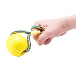 Мячик для собаки «Dog Toy» medium - TT19