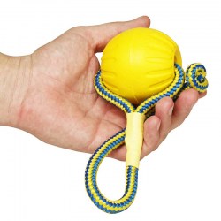 Мячик для собаки «Dog Toy» medium - TT19