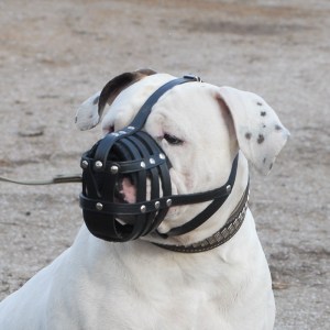 Кожаный намордник «Maximum safety»