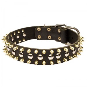Ошейник для большой собаки «Four-Pawed Charm» с шипами - S57