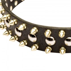 Ошейник для большой собаки «Four-Pawed Charm» с шипами - S57