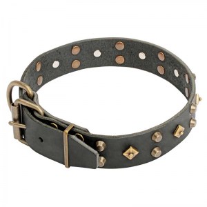 Ошейник для собаки «Fashion Jewelry» - C17