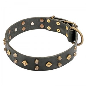 Ошейник для собаки «Fashion Jewelry» - C17