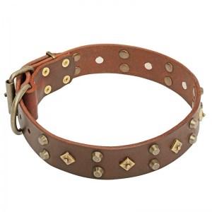 Ошейник для собаки «Fashion Jewelry» - C17