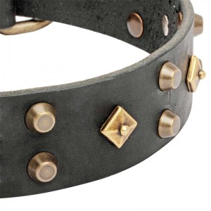 Ошейник для собаки «Fashion Jewelry» - C17