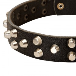 Тренировочный ошейник «Fancy Studs» для собак - C37