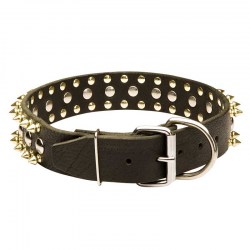 Ошейник для большой собаки «Four-Pawed Charm» с шипами - S57