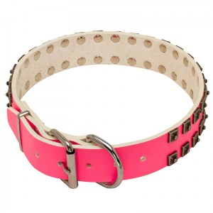 Ошейник розовый цвет «Cosmo Lady» - C93P