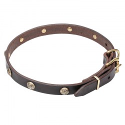 Собачий ошейник с украшениями «Stamped Studs» - C68