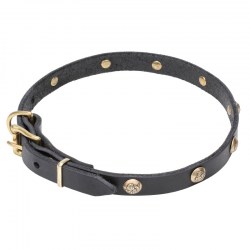 Собачий ошейник с украшениями «Stamped Studs» - C68