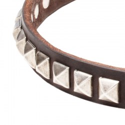 Узкий кожаный ошейник щенку «King Studs» - C65