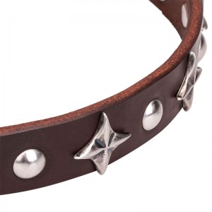 Кожаный ошейник с украшениями для собаки Pleiades