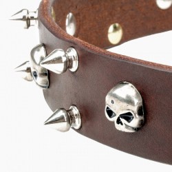 Шипастый ошейник для собак украшен черепами  «Jolly Roger» - C57
