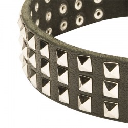 Широкий ошейник для собак «Premium Finery» - S45