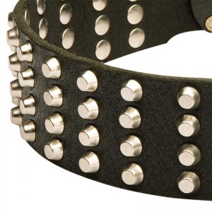 Кожаный широкий ошейник на собаку «Studded Gift» - S89