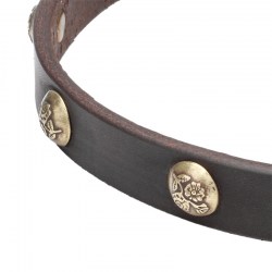 Собачий ошейник с украшениями «Stamped Studs» - C68