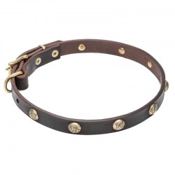 Собачий ошейник с украшениями «Stamped Studs» - C68