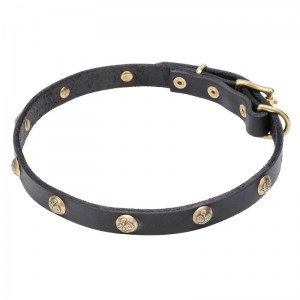 Собачий ошейник с украшениями «Stamped Studs» - C68