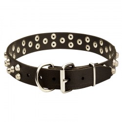 Тренировочный ошейник «Fancy Studs» для собак - C37