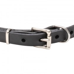 Узкий кожаный ошейник щенку «King Studs» - C65
