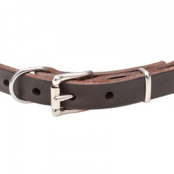 Узкий кожаный ошейник щенку «King Studs» - C65