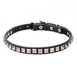 Узкий кожаный ошейник щенку «King Studs» - C65