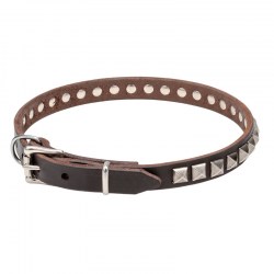 Узкий кожаный ошейник щенку «King Studs» - C65