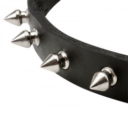 Узкий ошейник щенку «Spiky Row» - C110