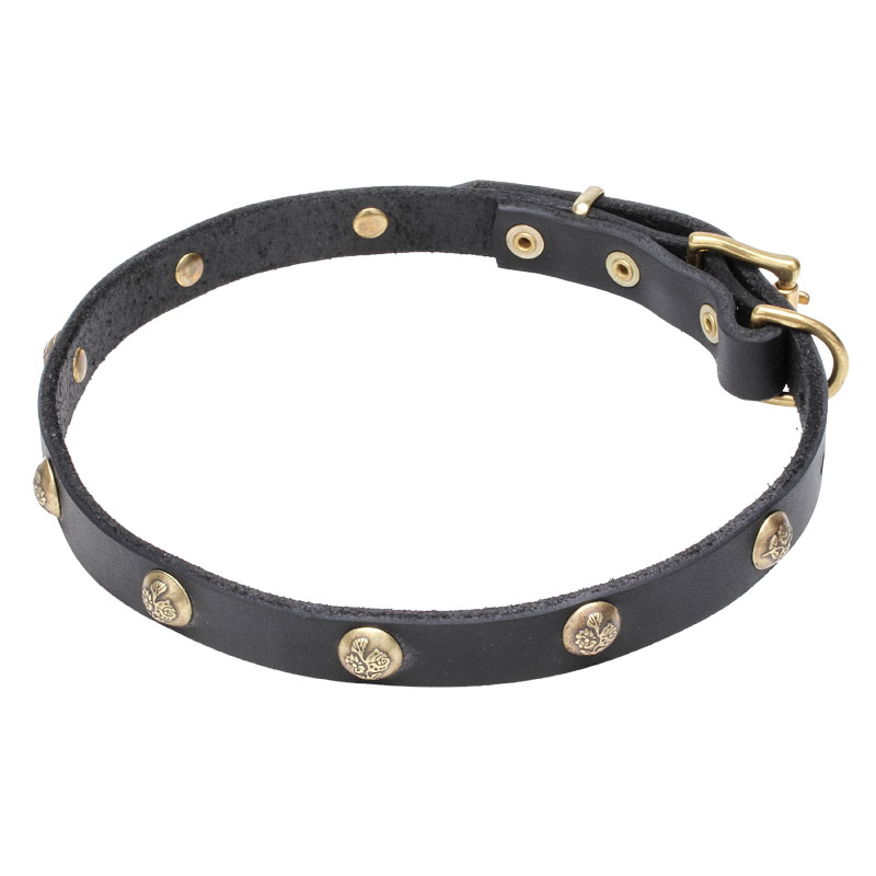 Собачий ошейник с украшениями «Stamped Studs» - C68