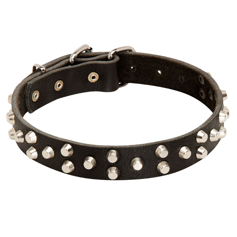 прогулочный ошейник «Fancy Studs» для собак - C37