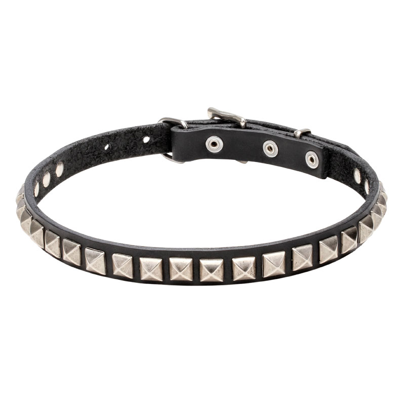Узкий кожаный ошейник щенку «King Studs» - C65